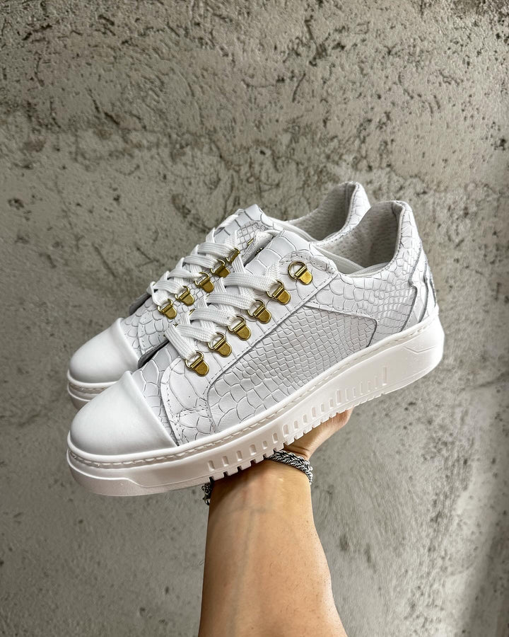 Zapatillas Anaconda Gold White