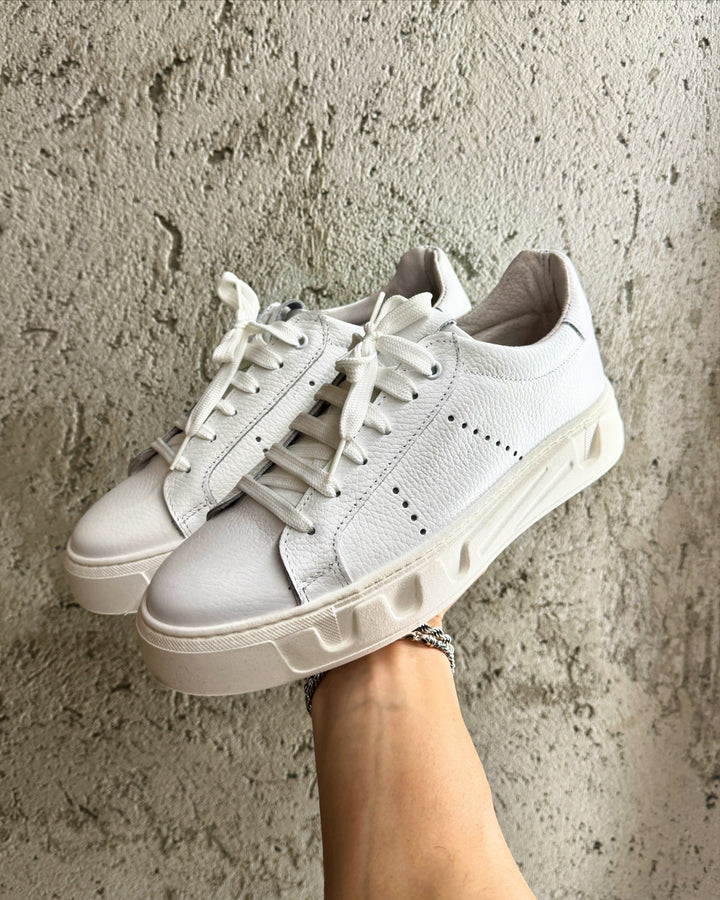 Sneakers Pasol white